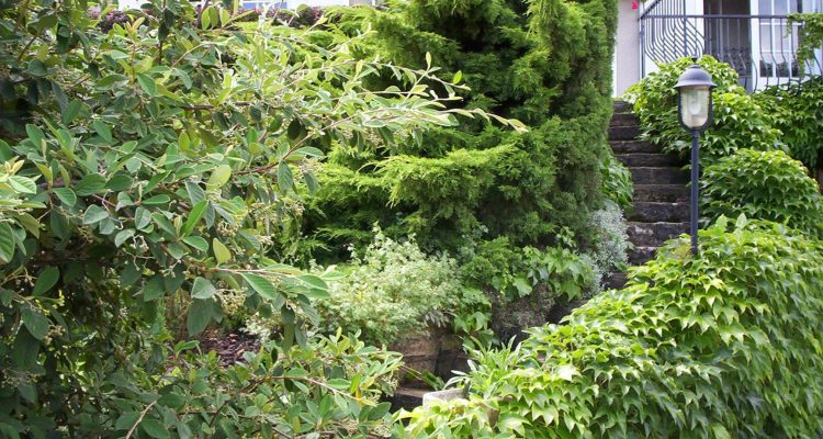 Bien Vendu Maison 97 m² à Saint-Romain-Au-Mont-d’Or 520 000 € - Saint-Romain-Au-Mont-d'Or (69270) - 15