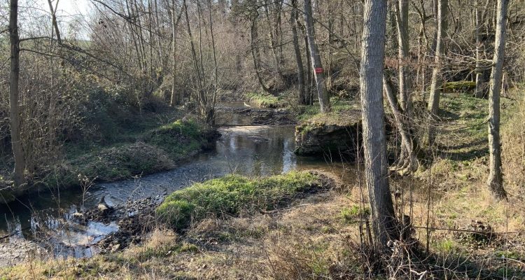 Bien Vendu Maison 204 m² à Chaleins 590 000 € - Chaleins (01480) - 7