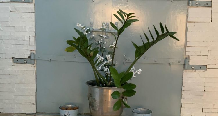 Bien Vendu Maison 193 m² à Fareins 445 000 € - Fareins (01480) - 16