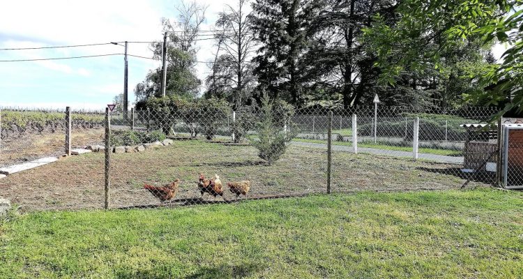Bien Vendu Maison 158 m² à Denicé 630 000 € - Denicé (69640) - 10