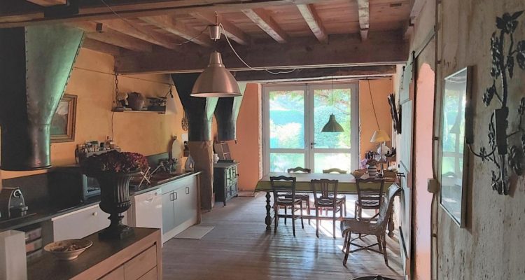Bien Vendu Maison 358 m² à Guéreins 339 000 € - Guéreins (01090) - 5