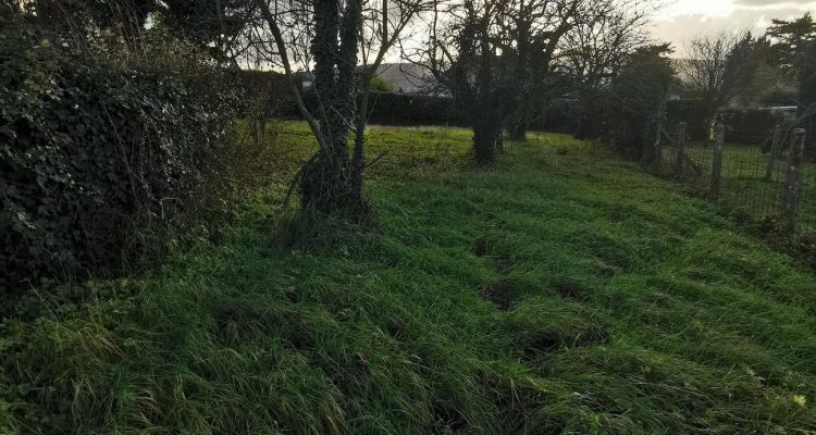 Bien Vendu Maison 100 m² à Genay 450 000 € - Genay (69730) - 14