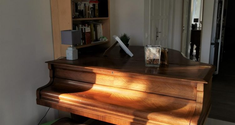 Bien Vendu Maison 172 m² à Reyrieux 485 000 € - Reyrieux (01600) - 7