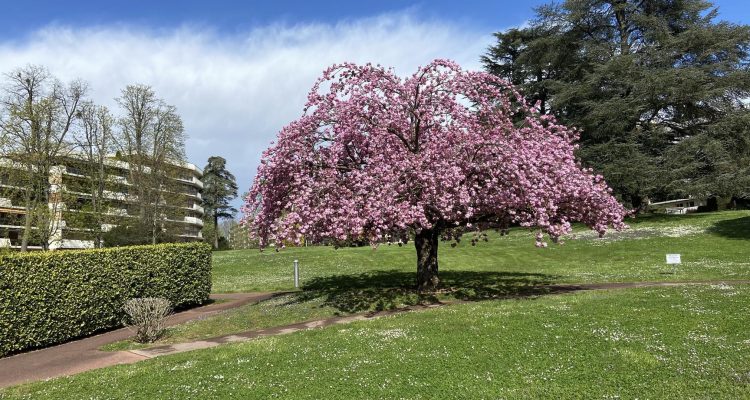 Bien Vendu T2 61 m² à Écully 248 000 € - Écully (69130)