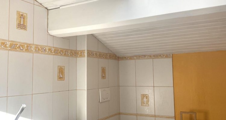 Bien Vendu Maison 180 m² à Denicé 395 000 € - Denicé (69640) - 9