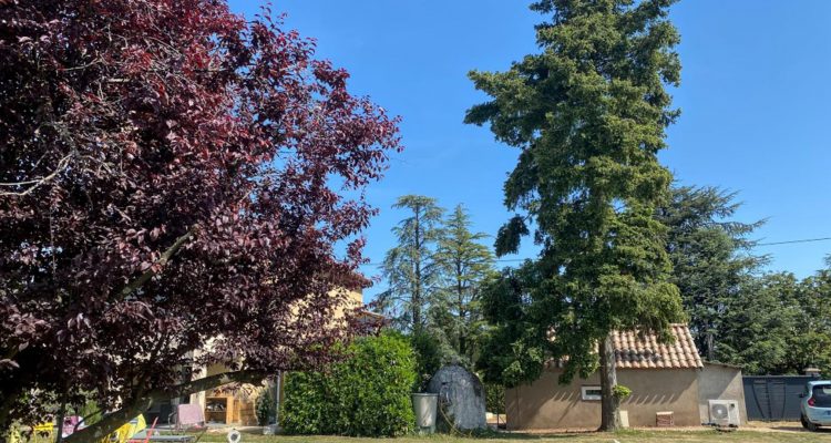 Bien Vendu Maison 180 m² à Denicé 395 000 € - Denicé (69640) - 12