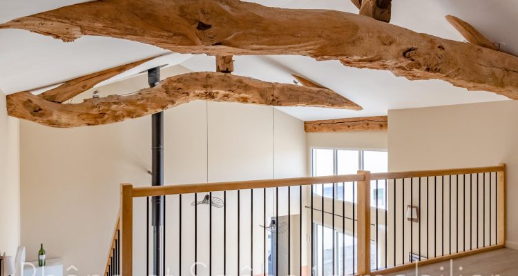 Bien Vendu Maison 224 m² à Chaleins 480 000 € - Chaleins (01480) - 5