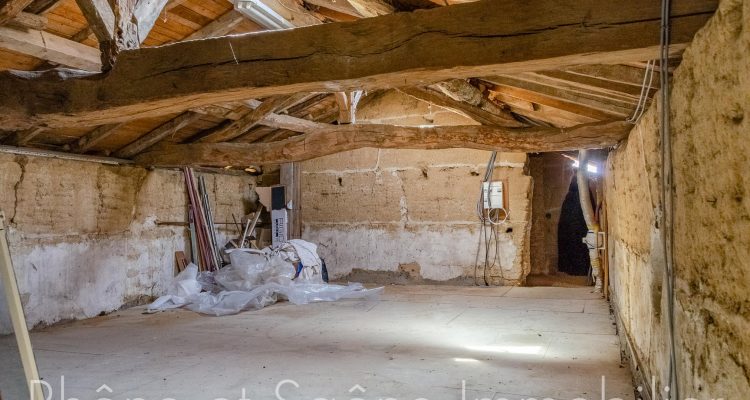Bien Vendu Maison 224 m² à Chaleins 480 000 € - Chaleins (01480) - 18