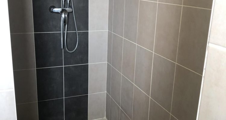 Bien Vendu Maison 95 m² à Frans 370 000 € - Frans (01480) - 19