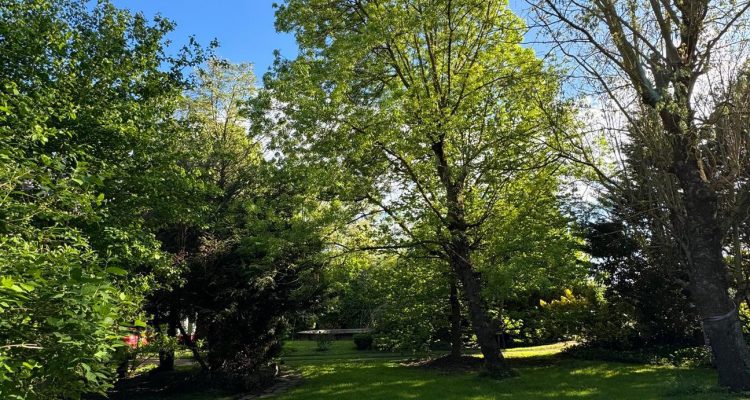 Bien Vendu Maison 200 m² à Sainte-Euphémie 620 000 € - Sainte-Euphémie (01600) - 18