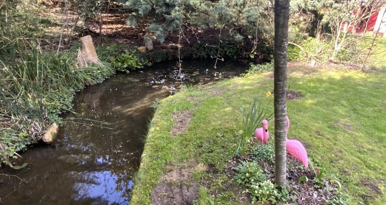 Bien Vendu Maison 200 m² à Sainte-Euphémie 620 000 € - Sainte-Euphémie (01600) - 20