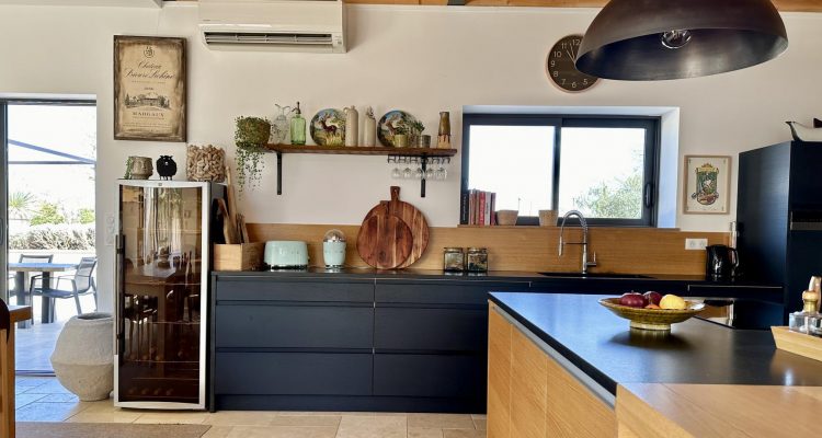 Bien Vendu Maison 303 m² à Fareins 1 250 000 € - Fareins (01480) - 3