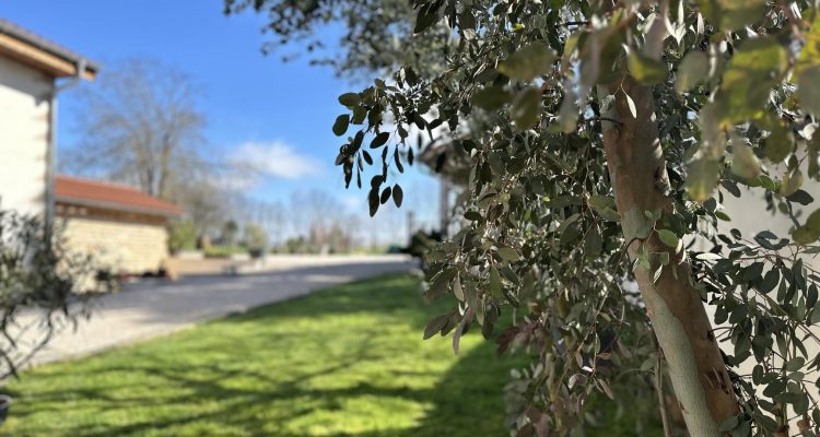 Bien Vendu Maison 303 m² à Fareins 1 250 000 € - Fareins (01480) - 21