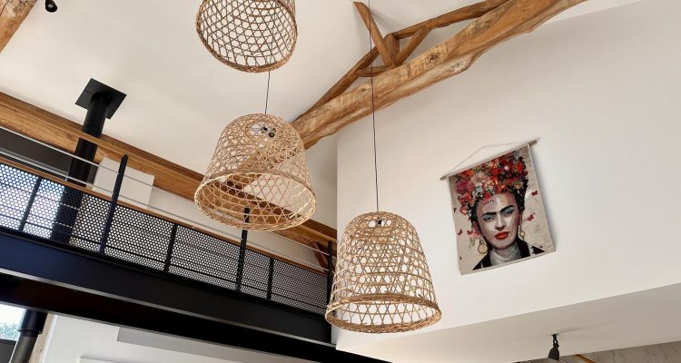 Bien Vendu Maison 303 m² à Fareins 1 250 000 € - Fareins (01480) - 23
