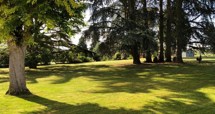 Bien Vendu Maison 215 m² à Messimy-sur-Saone 749 000 € - Messimy-sur-Saone (01480) - 3
