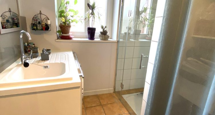 Bien Vendu Maison 177 m² à Ars-sur-Formans 449 000 € - Ars-sur-Formans (01480) - 22