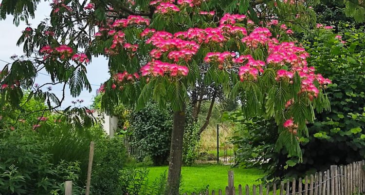 Bien Vendu Maison 177 m² à Ars-sur-Formans 449 000 € - Ars-sur-Formans (01480) - 28