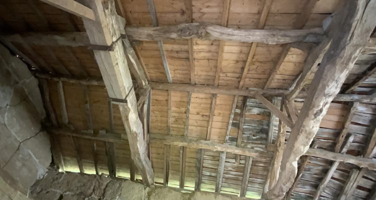 Bien Vendu Maison 300 m² à Chaleins 725 000 € - Chaleins (01480) - 28