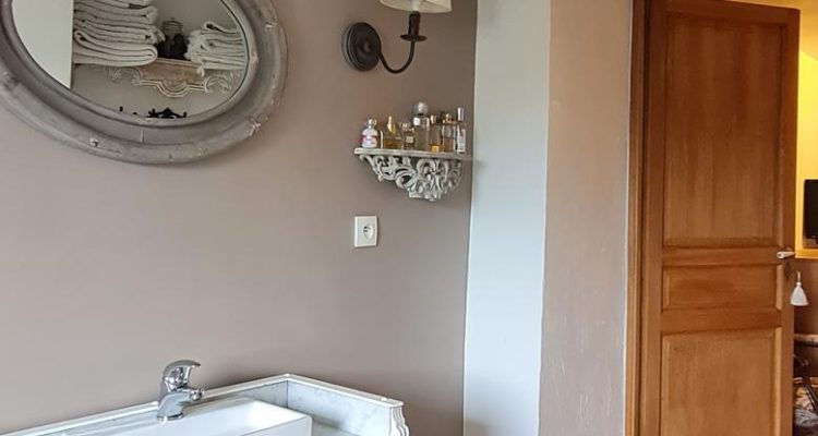 Maison pleine de charme! - Reyrieux (01600) - 8