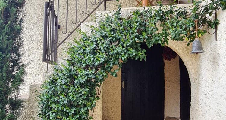 Maison pleine de charme! - Reyrieux (01600) - 16